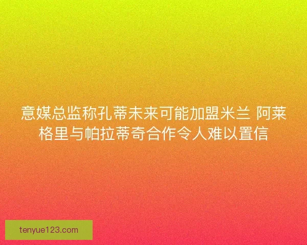 意媒总监称孔蒂未来可能加盟米兰 阿莱格里与帕拉蒂奇合作令人难以置信