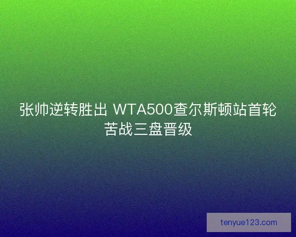 张帅逆转胜出 WTA500查尔斯顿站首轮苦战三盘晋级